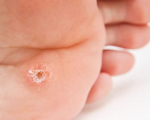 21425464_m-2credit 21425464_m-2credit