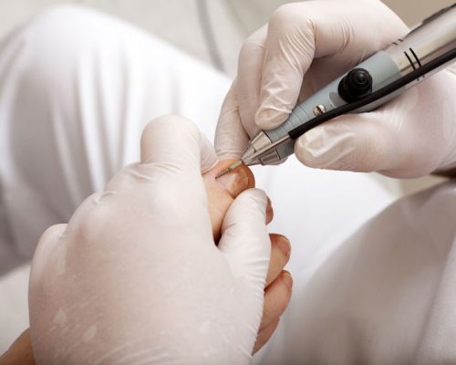 26488758_m-2credit 26488758_m-2credit